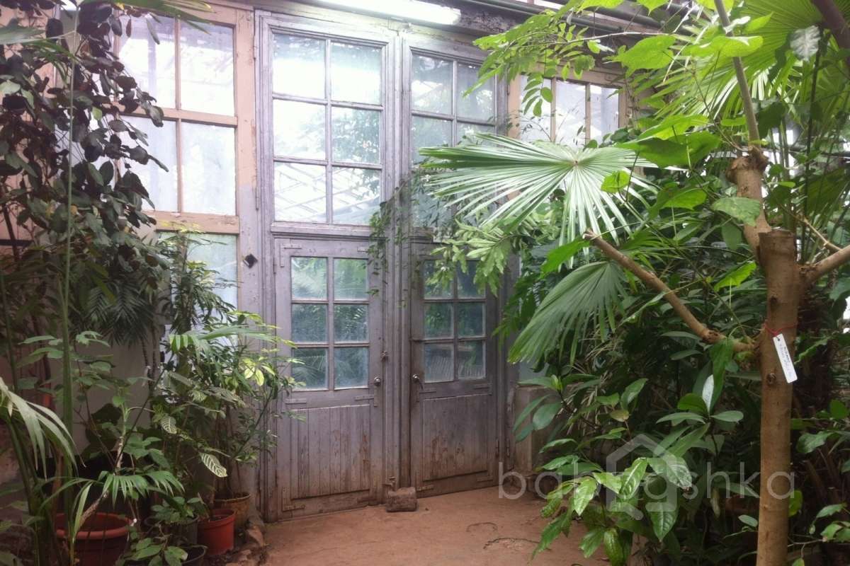 IMG_2547 дворцы и усадьбы 