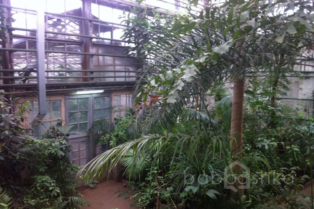 IMG_2543 дворцы и усадьбы 