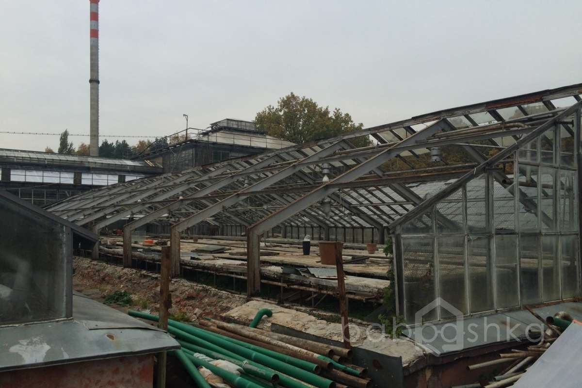 IMG_6495 дворцы и усадьбы 