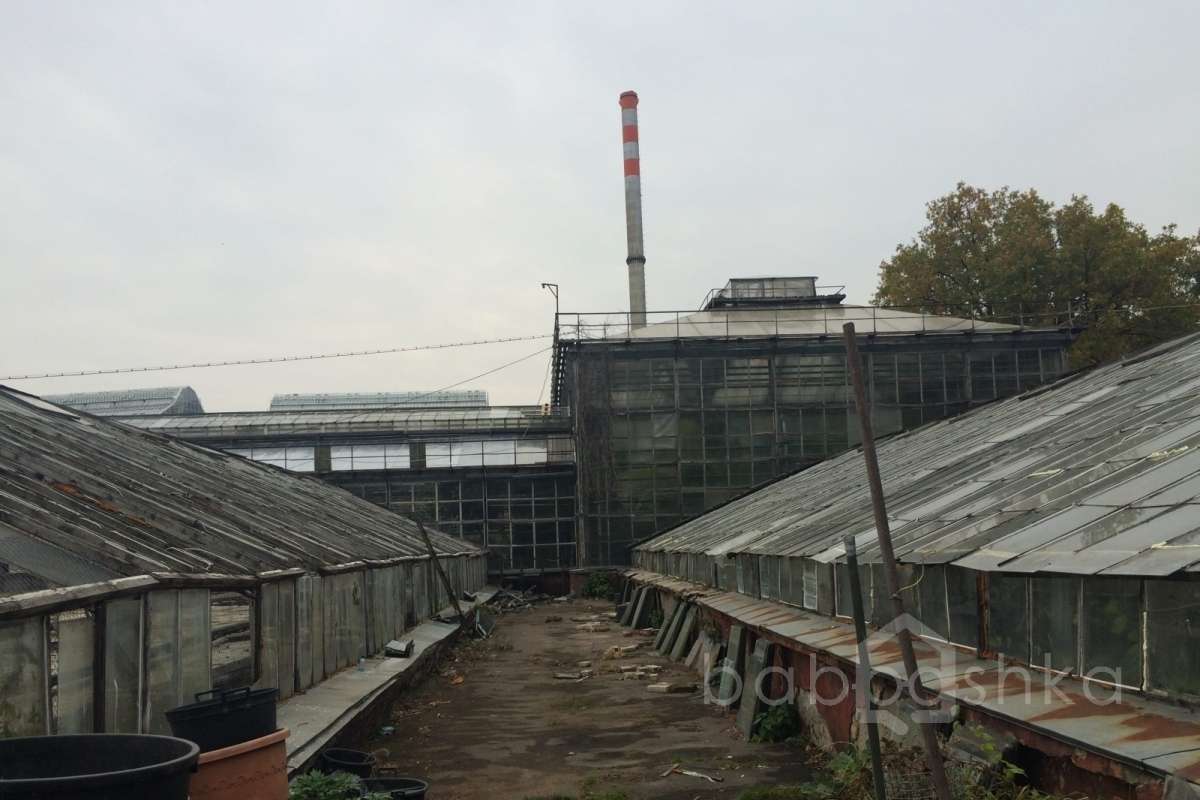 IMG_6492 дворцы и усадьбы 