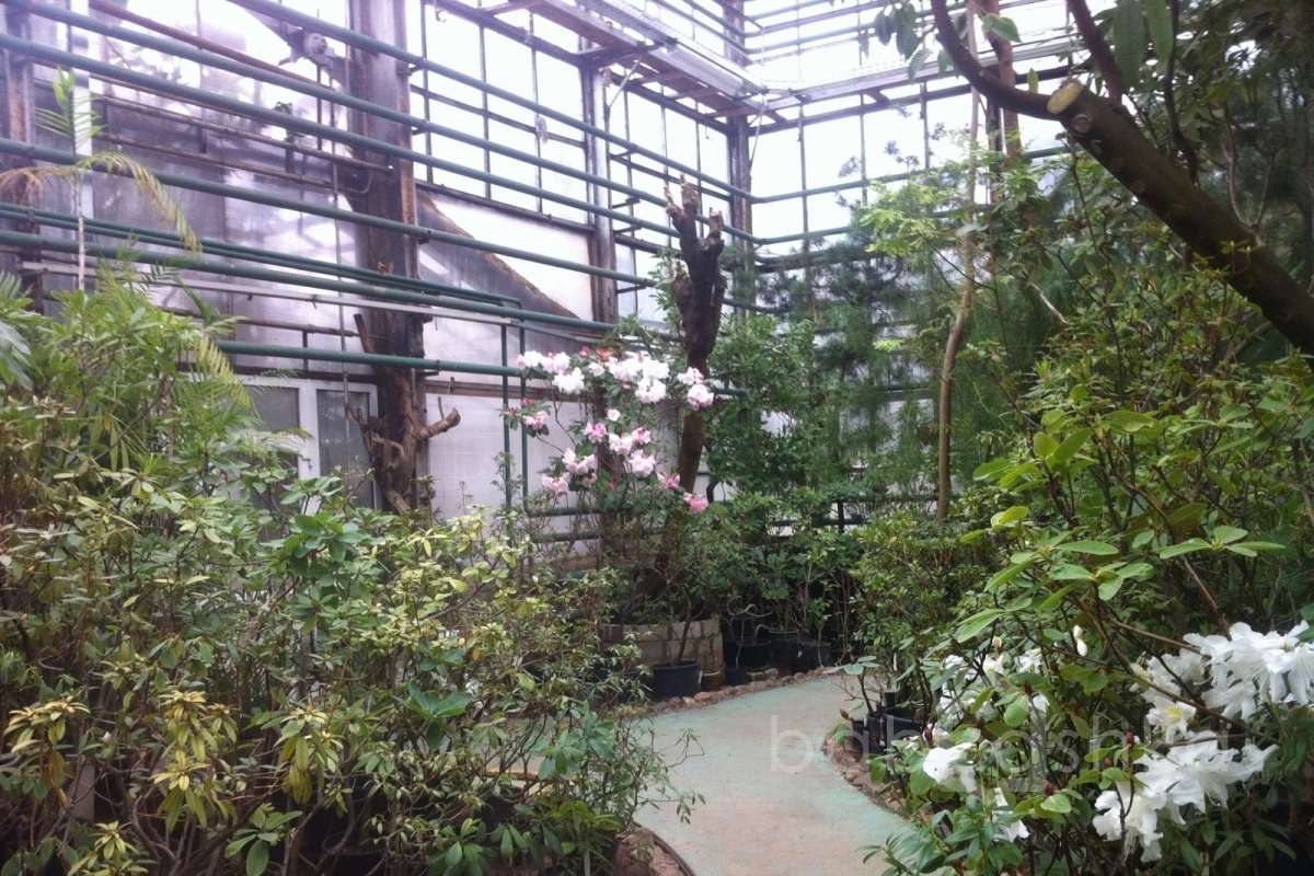 IMG_2553 дворцы и усадьбы 