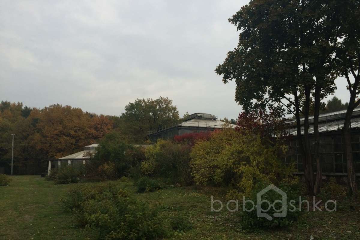 IMG_6481 дворцы и усадьбы 