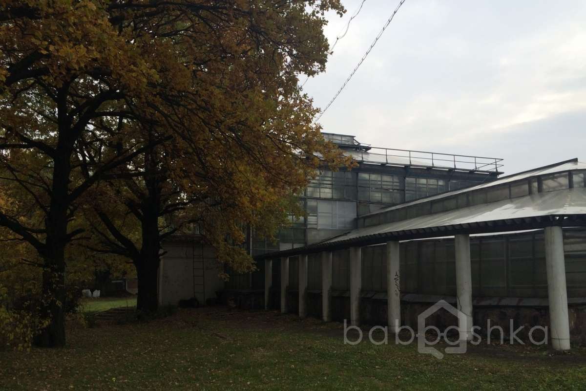 IMG_6487 дворцы и усадьбы 