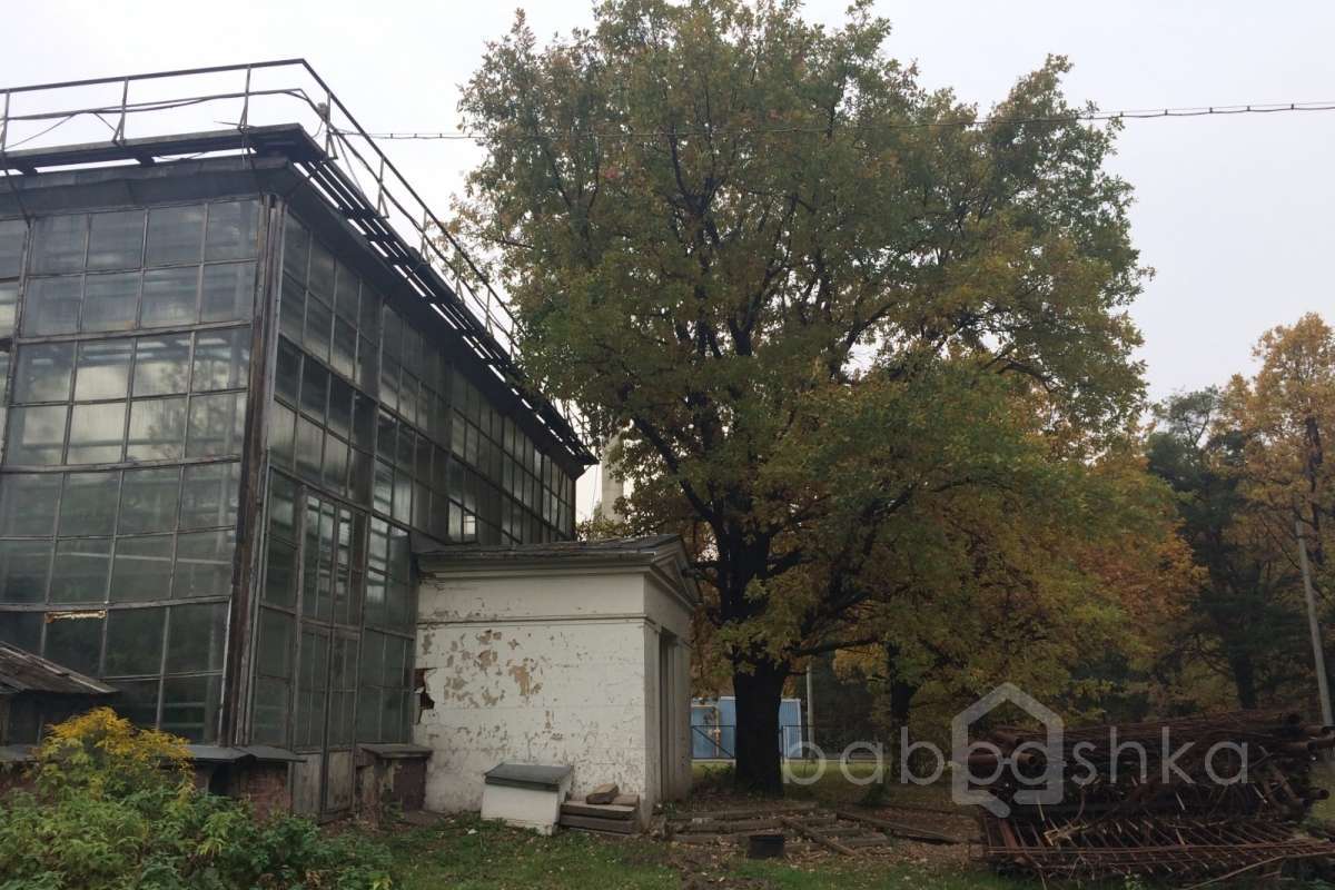 IMG_6488 дворцы и усадьбы 