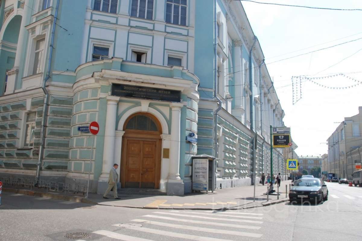 DSC_1703 дворцы и усадьбы 