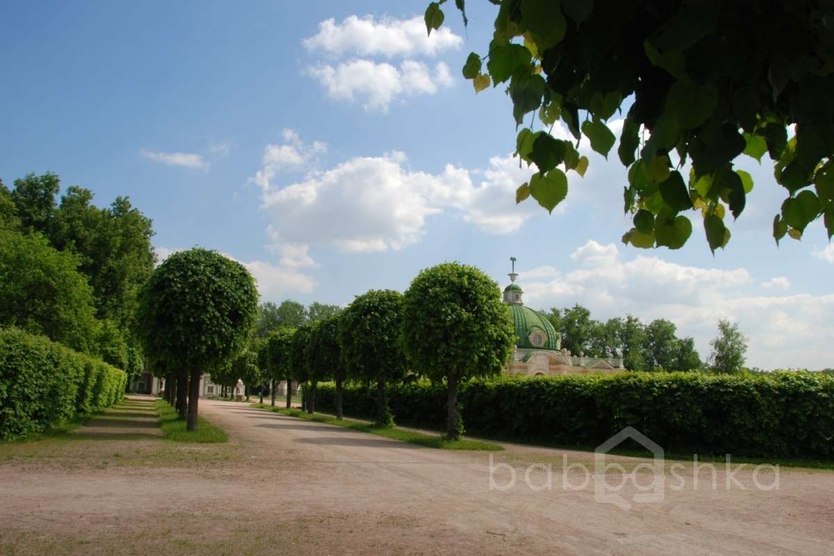 DSC_6801 дворцы и усадьбы 