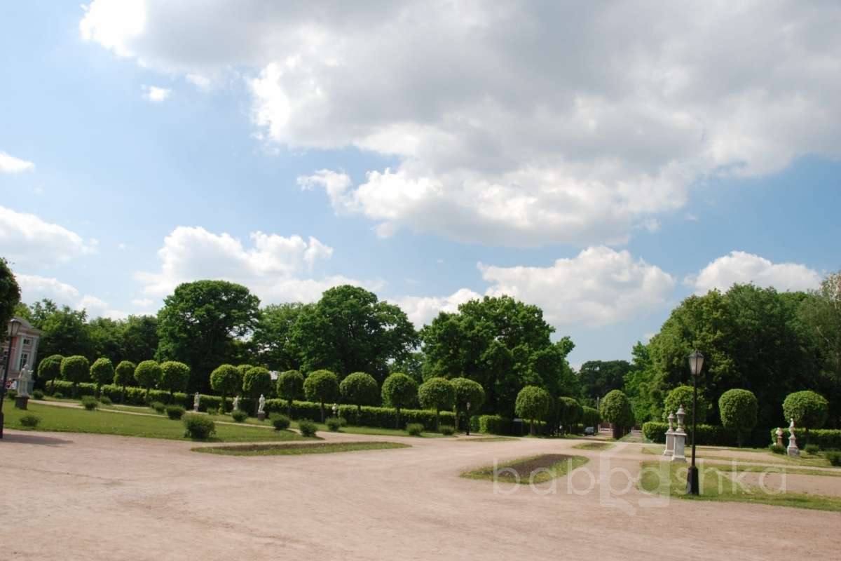 DSC_6799 дворцы и усадьбы 