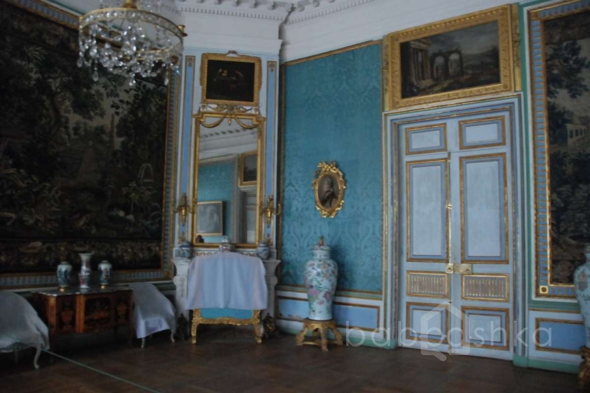 DSC_4150 дворцы и усадьбы 