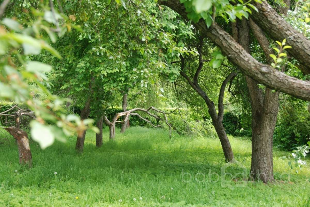 DSC_6798 дворцы и усадьбы 