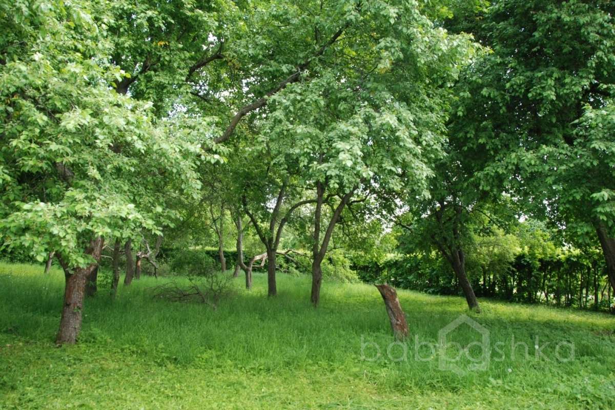 DSC_6793 дворцы и усадьбы 