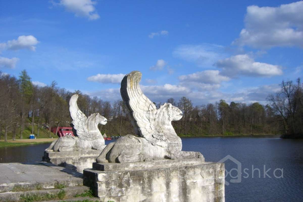 CIMG1230 дворцы и усадьбы 