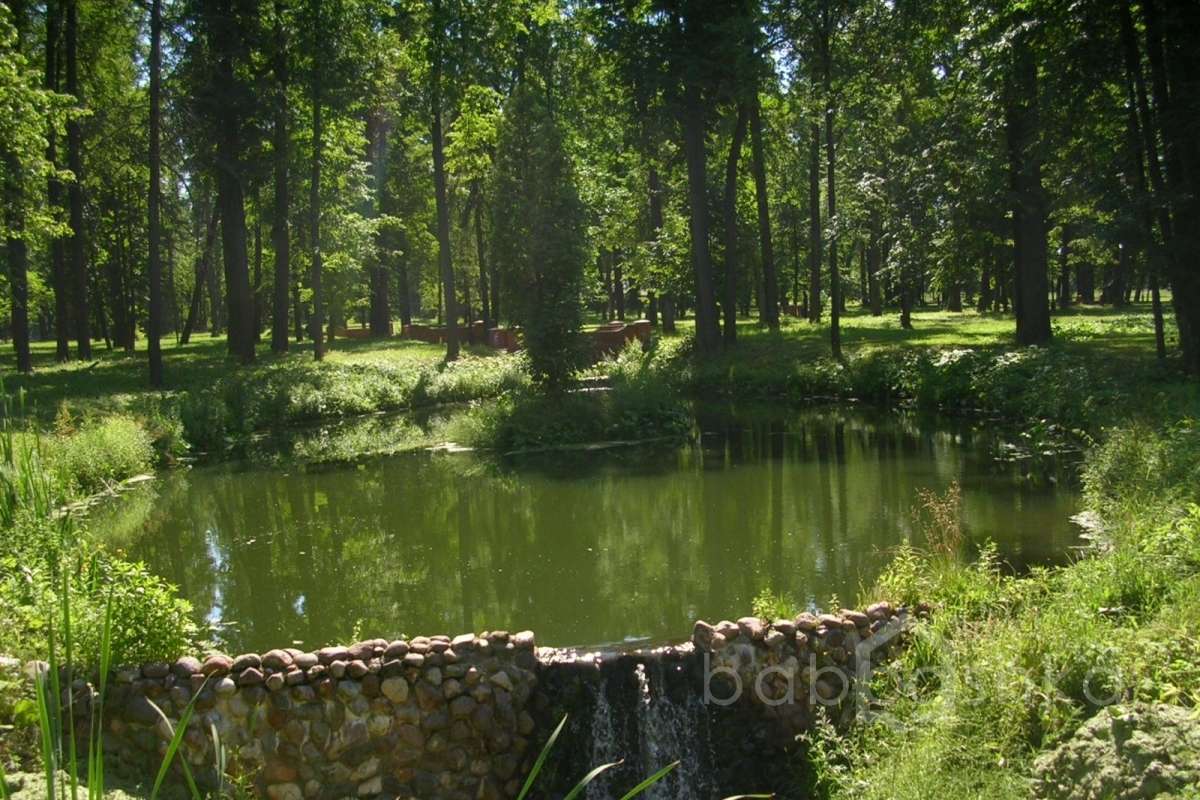 DSCN9809 дворцы и усадьбы 