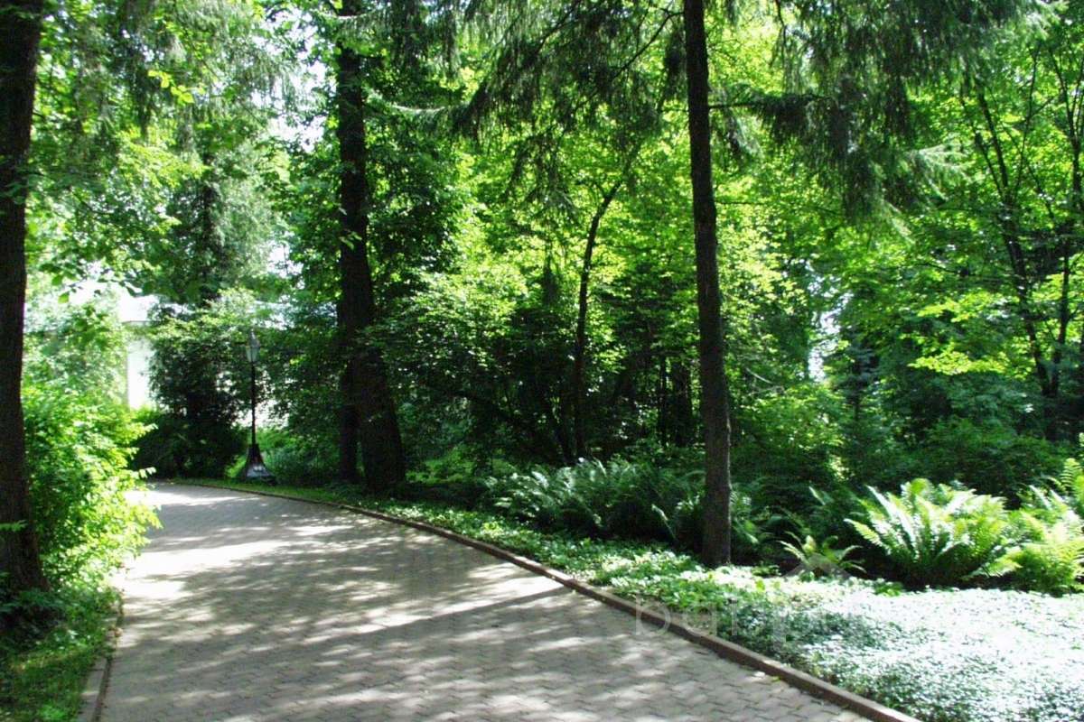 P7240612 дворцы и усадьбы 