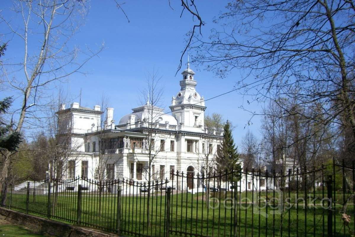 CIMG0561 дворцы и усадьбы 