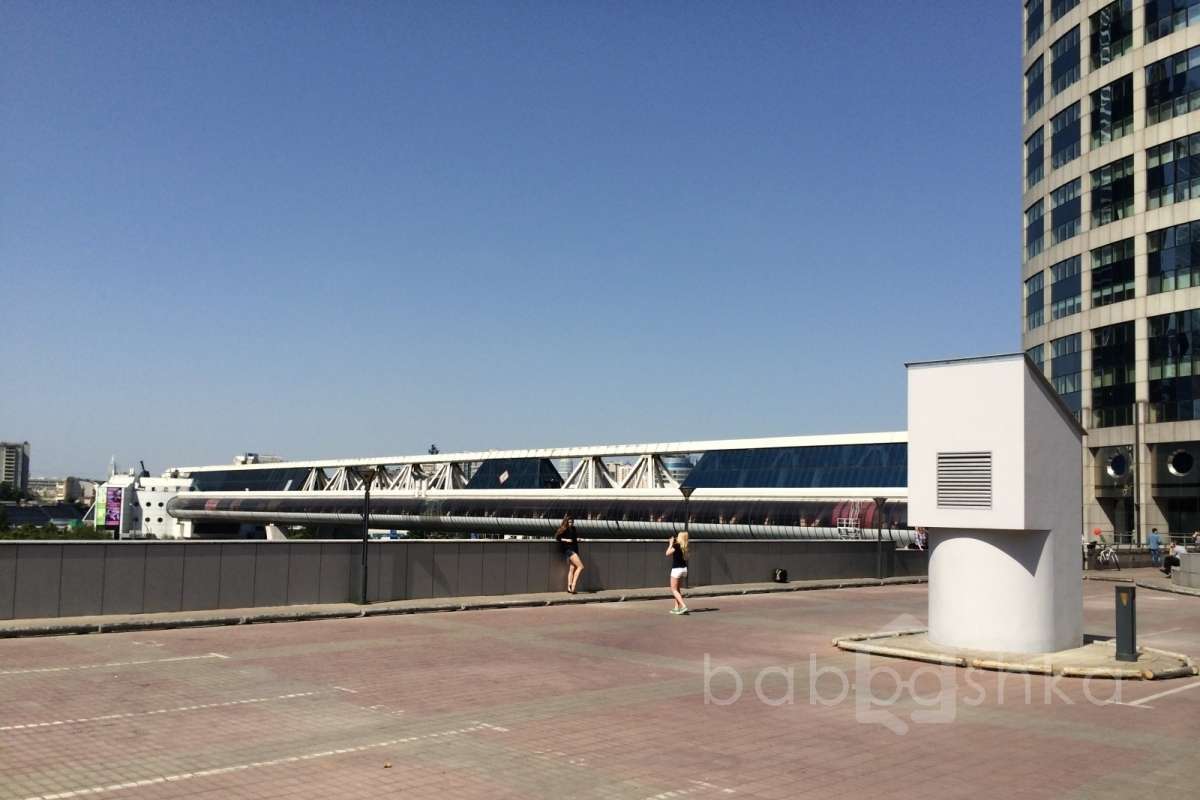 IMG_5118 территория 