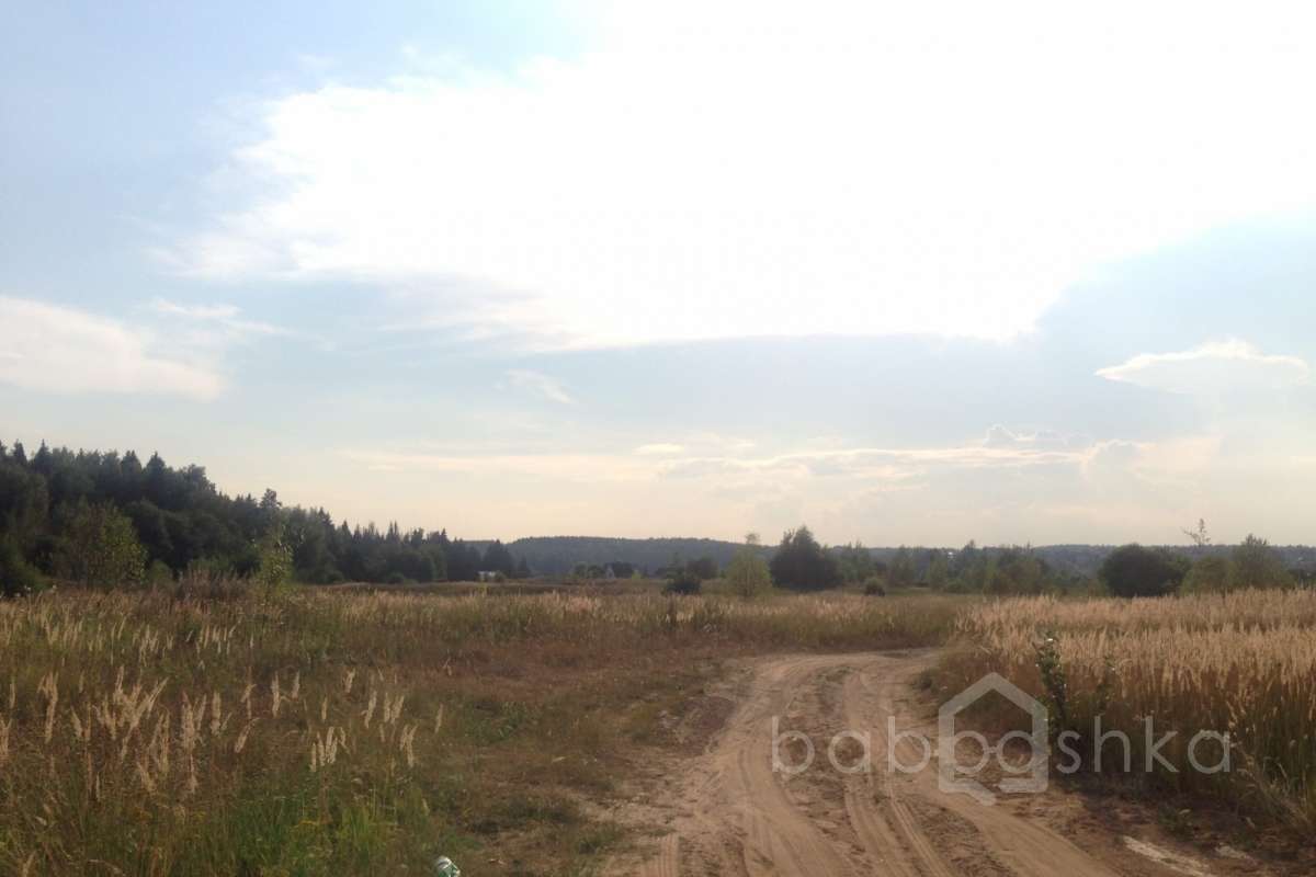 2014-08-12%2018.23.13 лес 