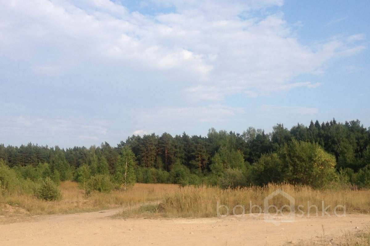 2014-08-12%2018.23.26 лес 