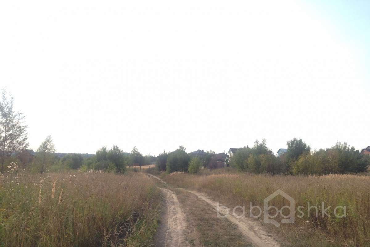 2014-08-12%2018.25.47 лес 