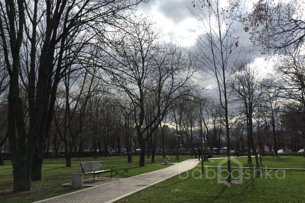 IMG_2901 парки 