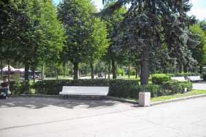 SDC14543 парки Съёмки Москва