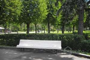 SDC14542 парки Съёмки Москва