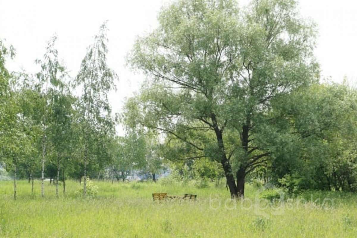 DSC03805. парки 