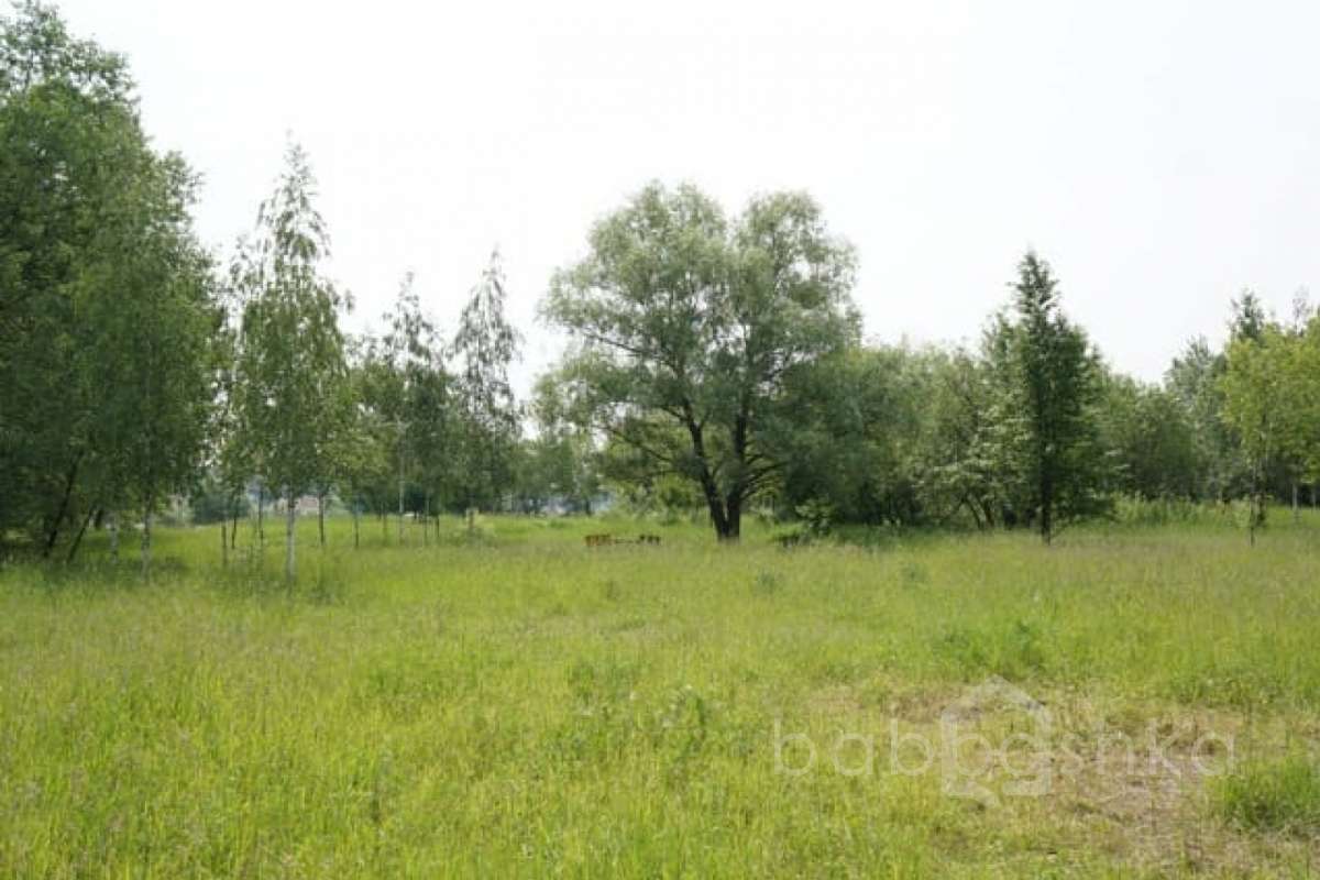 DSC03804. парки 