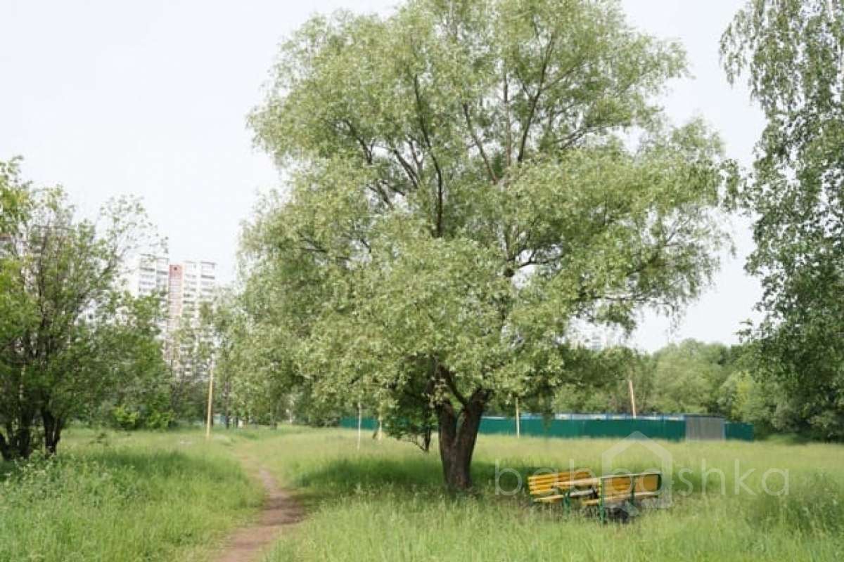 DSC03811. парки 