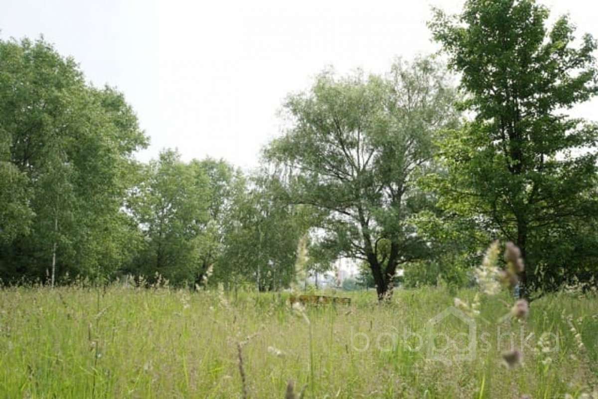 DSC03815. парки 