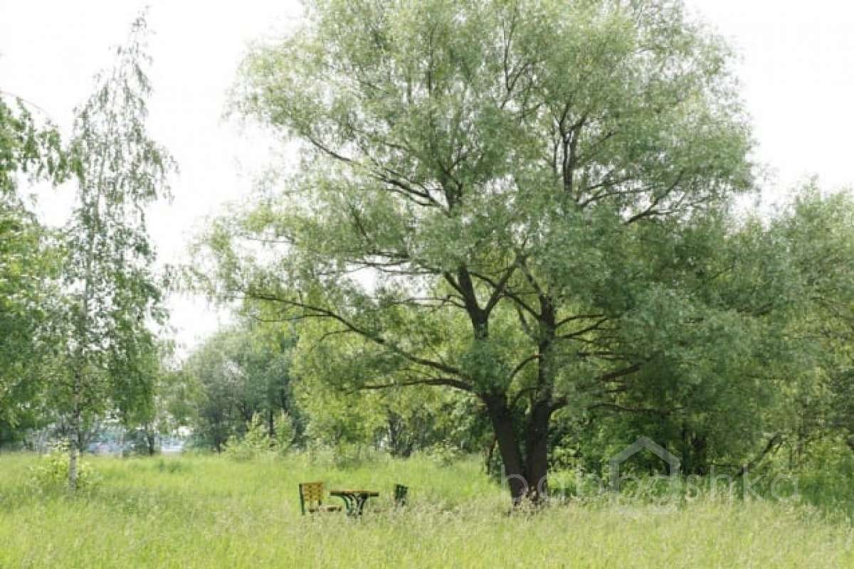 DSC03806. парки 