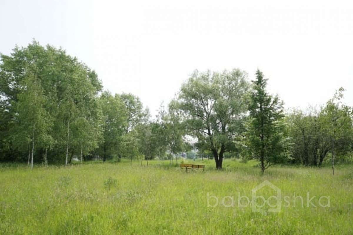 DSC03816. парки 