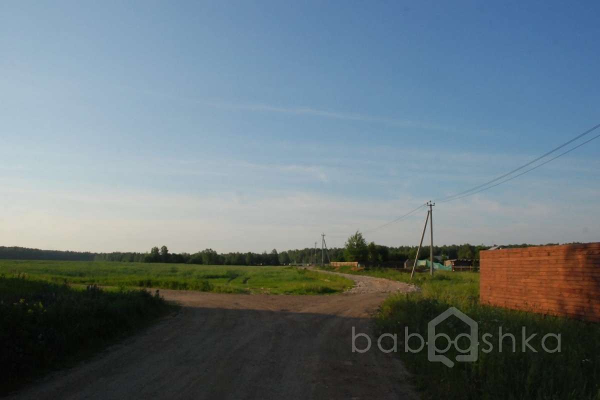 DSC_7612 лес 