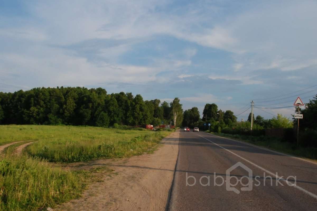 DSC_7577 лес 