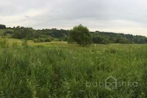 IMG_4200 лес Съёмки Москва