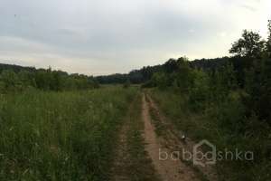 IMG_4199 лес Съёмки Москва