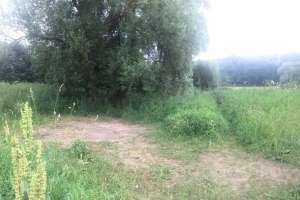 IMG_4188 лес Съёмки Москва