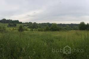 IMG_4193 лес Съёмки Москва