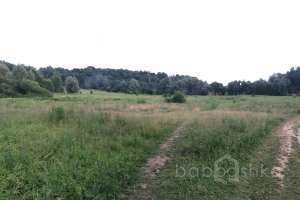 IMG_4202 лес Съёмки Москва