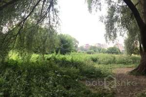 IMG_4191 лес Съёмки Москва