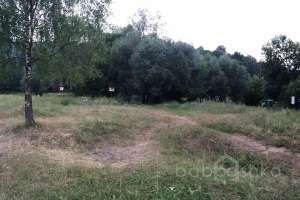 IMG_4206 лес Съёмки Москва