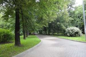 DSC05665 парки Съёмки Москва