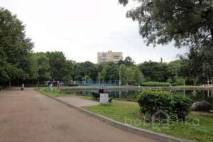 DSC05711 парки Съёмки Москва