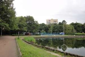 DSC05721 парки Съёмки Москва