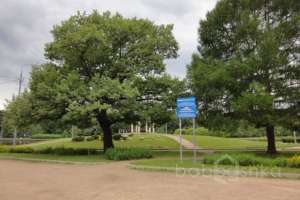 DSC05830 парки Съёмки Москва