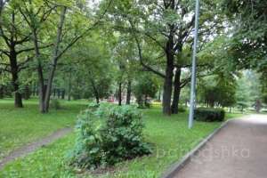 DSC05821 парки Съёмки Москва