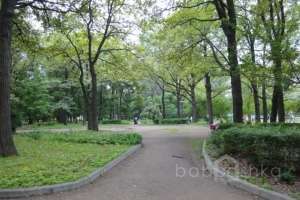 DSC05861 парки Съёмки Москва