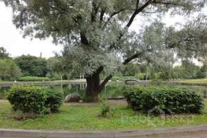 DSC05712 парки Съёмки Москва