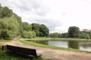 DSC03464 парки Съёмки Москва