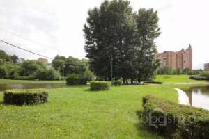 DSC03627 парки Съёмки Москва