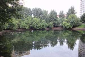 DSC06236 парки Съёмки Москва